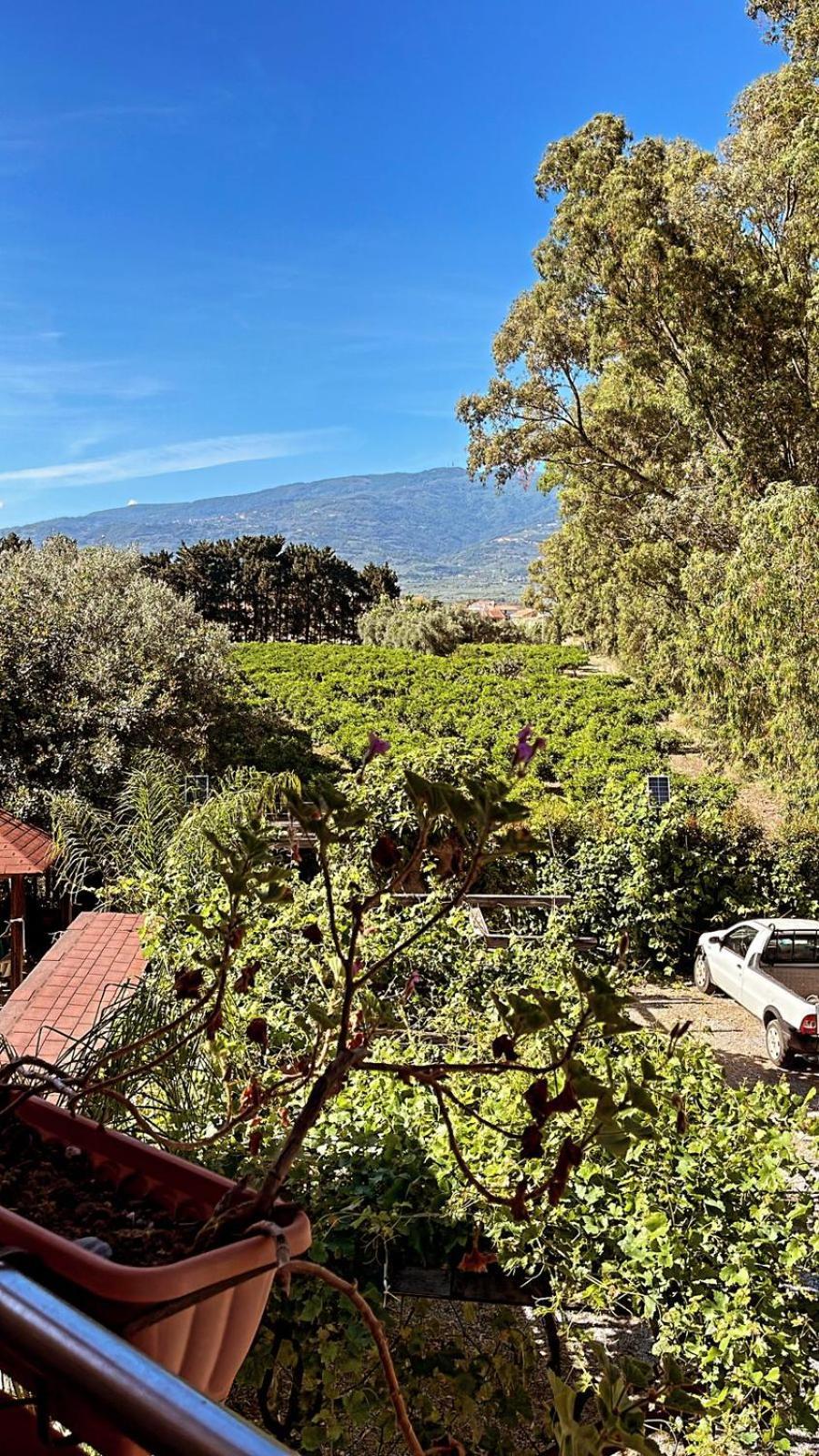 B&B Pineta Mare Lamezia Terme Exterior foto